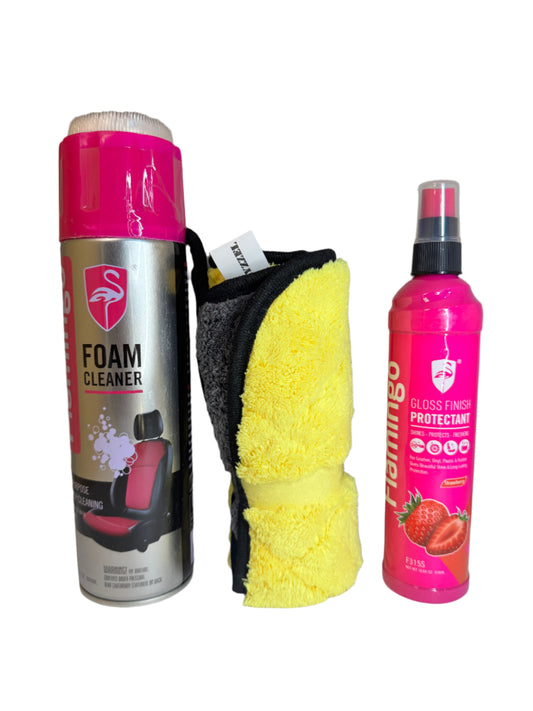 Interior Deep Clean Pack